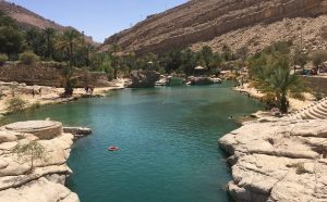 Wadi Bani Khalid & Wahiba Sands Tour