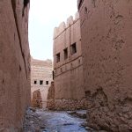 Gallery Thumbnail 4
